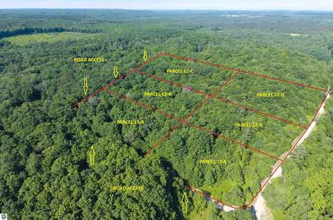 12-B PLAINFIELD TRAIL, ELMIRA, MI 49730