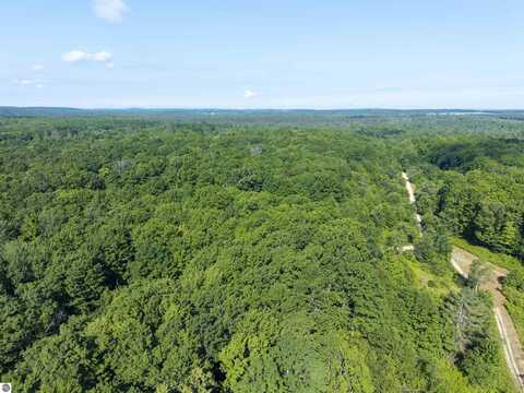 12-A HILL CREST DRIVE, ELMIRA, MI 49730
