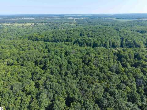 13-A HILLCREST DRIVE, ELMIRA, MI 49730