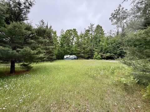 16444 CRICKET TRAIL, WOLVERINE, MI 49799