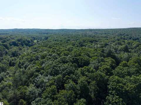 12-C HILL CREST DRIVE, ELMIRA, MI 49730