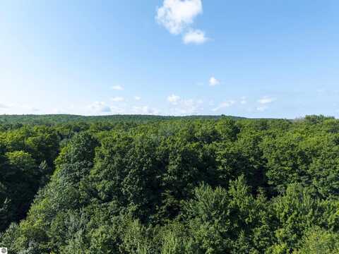 13-B PLAINFIELD TRAIL, ELMIRA, MI 49730