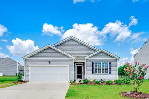 3789 Bells Lake Circle, Longs, SC 29568
