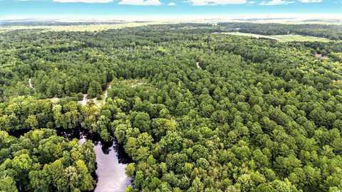 TBD Vance Ln., Nichols, SC 29581