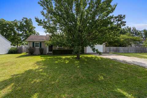 111 Schoolview Drive, Homer, IL 61849
