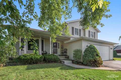 6609 Neilis Drive, Plainfield, IL 60586