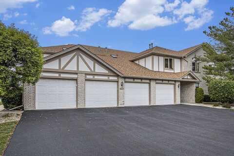 6421 Pine Trail Lane, Tinley Park, IL 60477