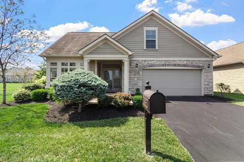 1143 Little Bear Place, Lewis Center, OH 43035