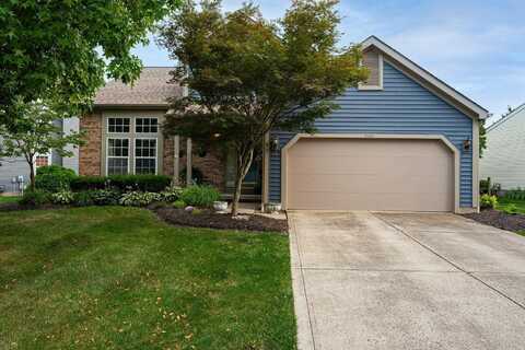 5809 Haddingtonshire Lane, Dublin, OH 43016