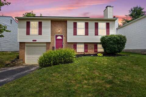8594 Broadacre Drive, Powell, OH 43065