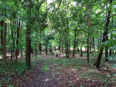 Lot 47 Linksview, Gladwin, MI 48624
