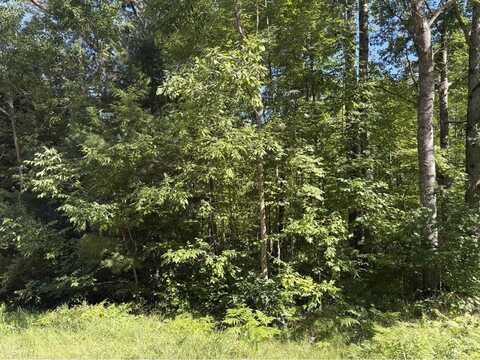 Lot 27 Azalea, Harrison, MI 48625