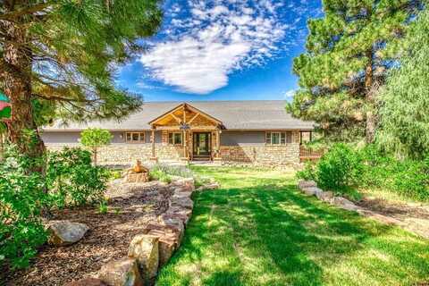 457 Cameron Place, Pagosa Springs, CO 81147