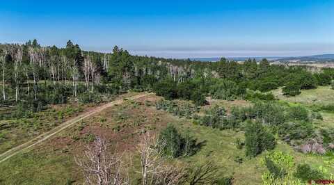 tbd King Drive, Rico, CO 81332