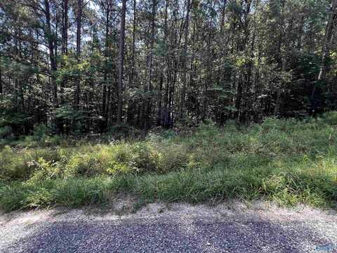.69 Acres County Road 592, Leesburg, AL 35983