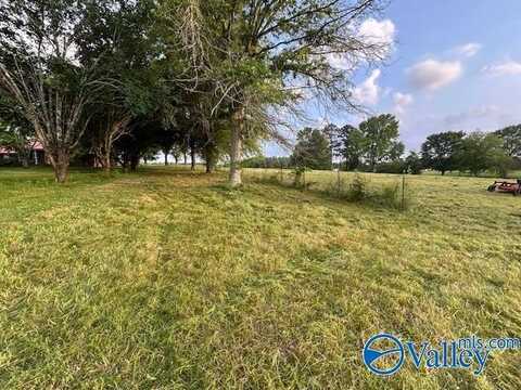 123 Bluff Road, Section, AL 35771