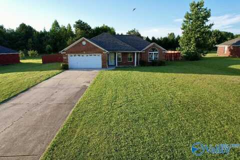 113 Thistledowns Drive, Toney, AL 35773
