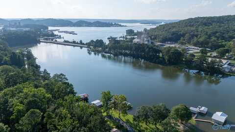 4125 Hideaway Drive, Guntersville, AL 35976