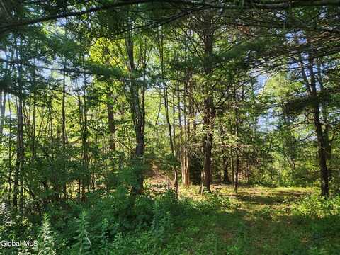 L4 Skyline Drive, Delanson, NY 12053