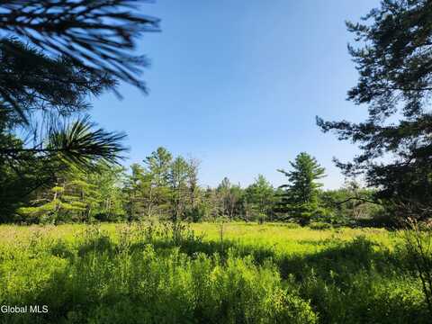 L30 Skyline Drive, Delanson, NY 12053