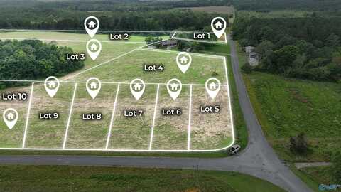 Lot 1 County Road 462, Pisgah, AL 35765