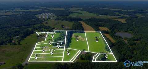 Lot 1 County Road 462, Pisgah, AL 35765
