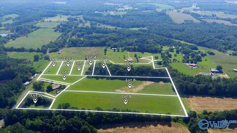 Lot 9 County Road 369, Pisgah, AL 35765