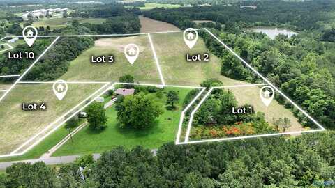 Lot 8 County Road 369, Pisgah, AL 35765
