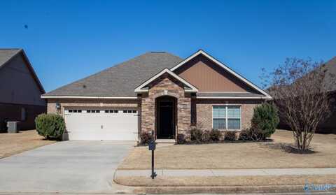 213 Balota Street, Meridianville, AL 35759