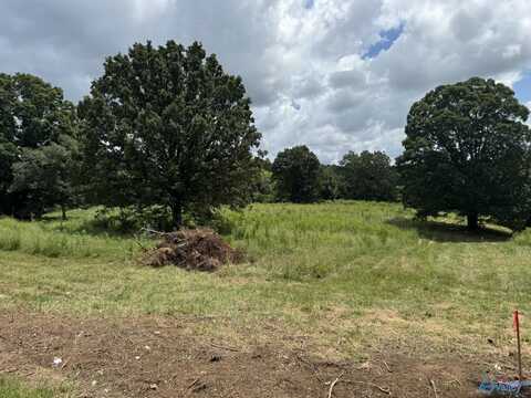 Tract 2 County Road 656, Anderson, AL 35610