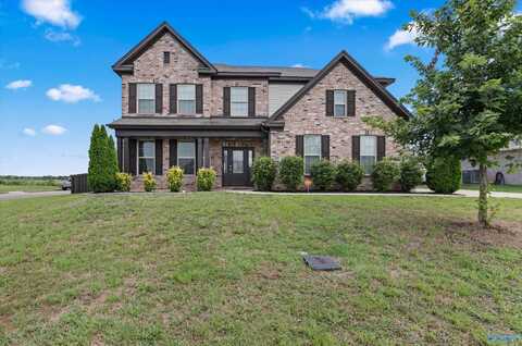 29446 Nicholson Drive, Harvest, AL 35749