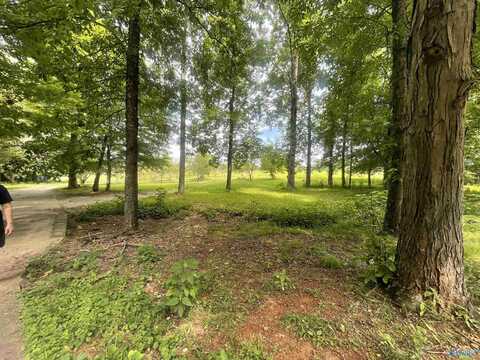 995 Mckee Road, Toney, AL 35773