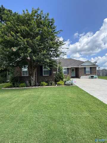 1797 Ready Section Road, Toney, AL 35773