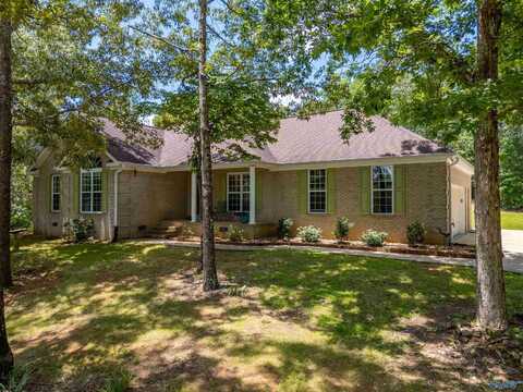 1115 Edgar Road, Glencoe, AL 35905