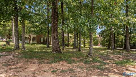 66 Ledge View Drive SE, Huntsville, AL 35802