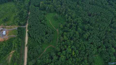29 Ac Silo Road, Altoona, AL 35952