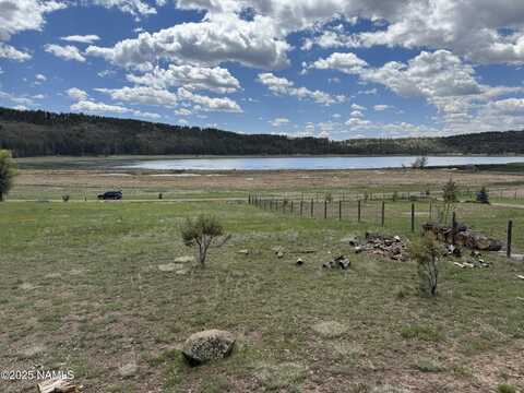 76 Lakeview Court, Stoneman Lake, AZ 86038