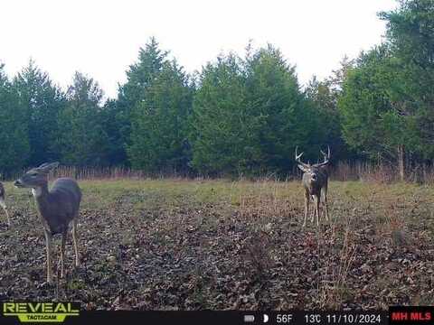 160736000000005 STATE HWY W, Houston, MO 65484
