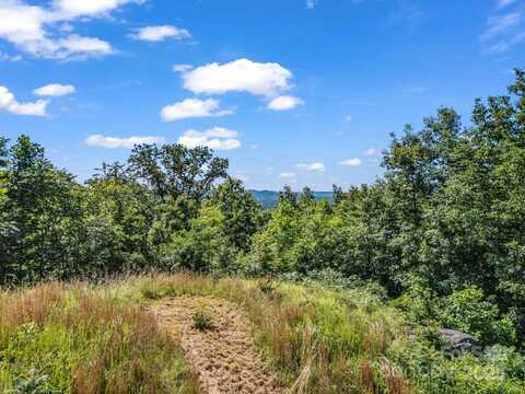 Climbing Road, Hendersonville, NC 28792