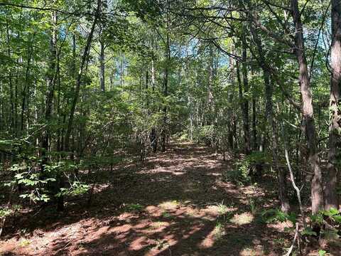 Reeves Road, Ashland, MS 38603