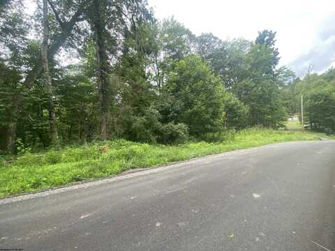 TBD Limestone Road, Parsons, WV 26287
