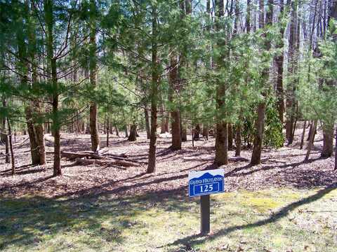 125 Thunder Mountain Road, Hendersonville, NC 28792