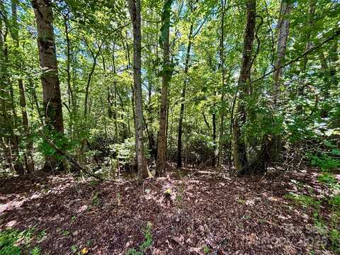 Laurel Forest Drive, Hendersonville, NC 28792