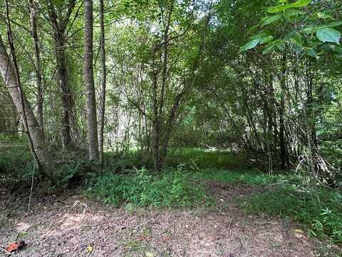Choctaw Ridge Trail, Murphy, NC 26906
