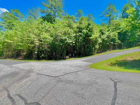 64 Meadow Brooke Drive, Young Harris, GA 30582