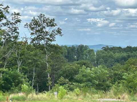Lt 95 Timberline Trail, Ellijay, GA 30540