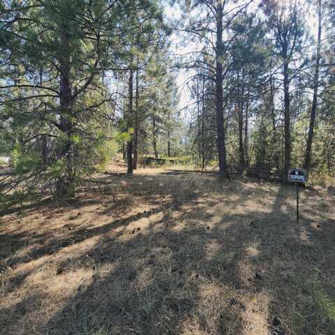 XXX HWY 395, KETTLE FALLS, WA 99141