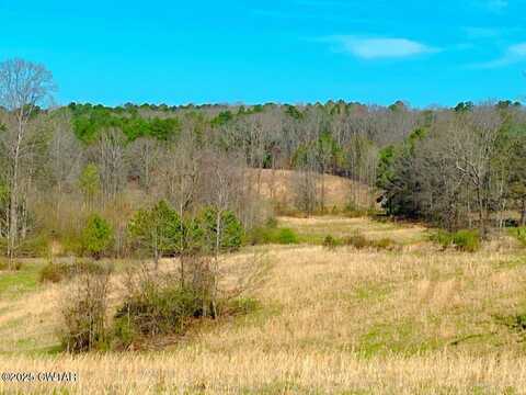 0 Presley Road, Lexington, TN 38351