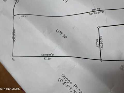 Lot 10 Wiley Prigmore Lane, Decatur, TN 37322