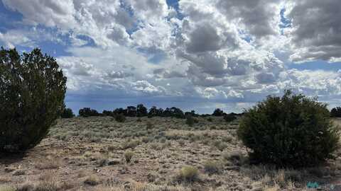 Bridle Path Road, Quemado, NM 87829